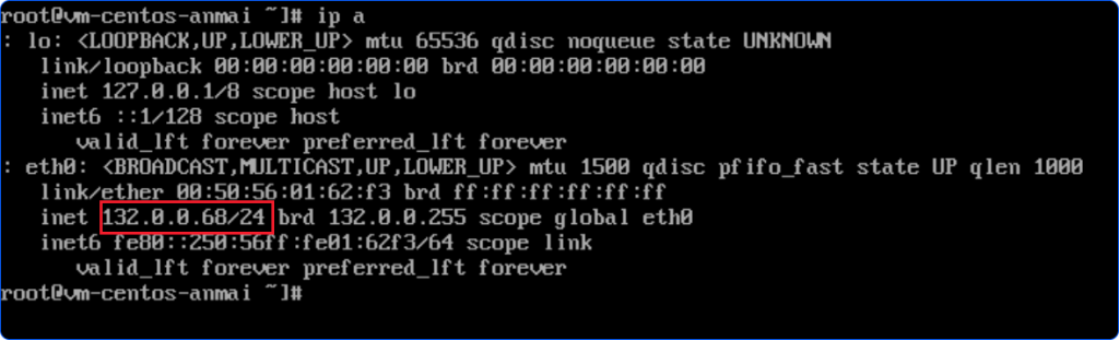 NIC VM CentOS console